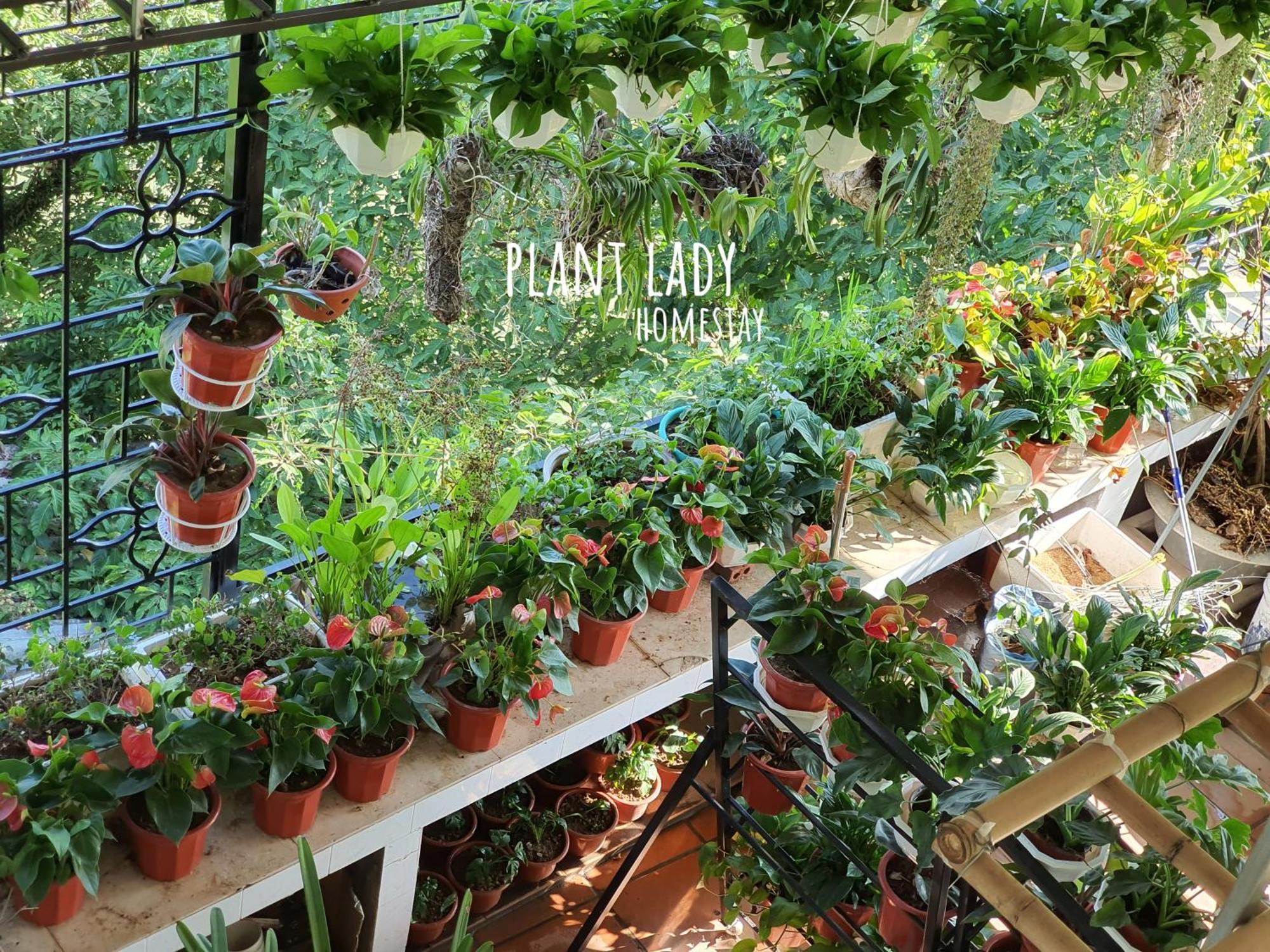 Plant Lady Homestay Cao Bang Exterior foto